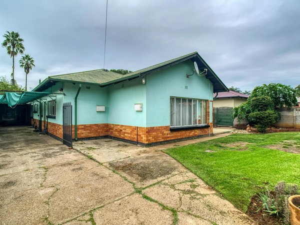 Lustria luminary: illuminate your space with style