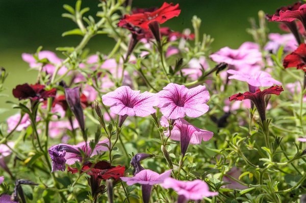 Step-by-Step Guide: How to Seamlessly Redirect Your Mail After Relocating in the UK